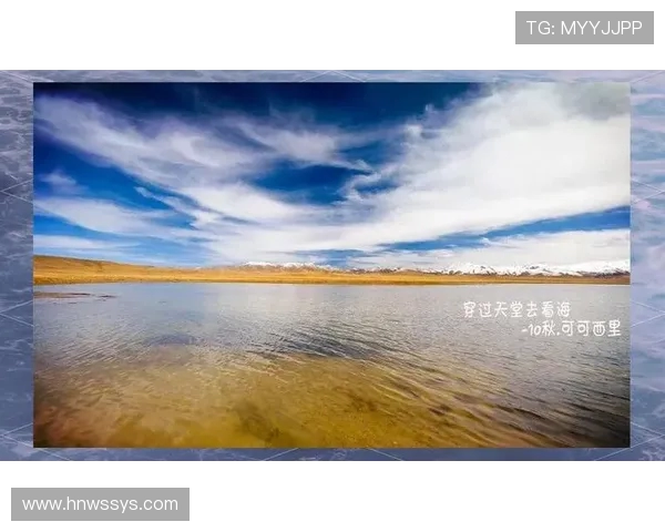 王岚的音乐旅程与人生哲学探讨:从创作到演出背后的故事与感悟